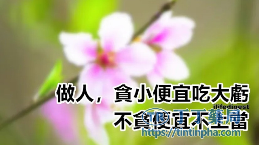 不要貪圖便宜 不要貪圖便宜