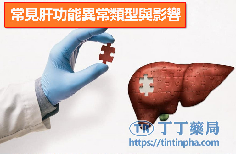 常見肝功能異常類型與影響 常見肝功能異常類型與影響