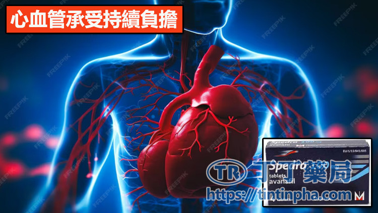 心血管承受持續負擔 心血管承受持續負擔